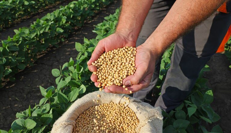 Selo Biocombustível Social promove a inclusão e capacitação técnica de agricultores familiares